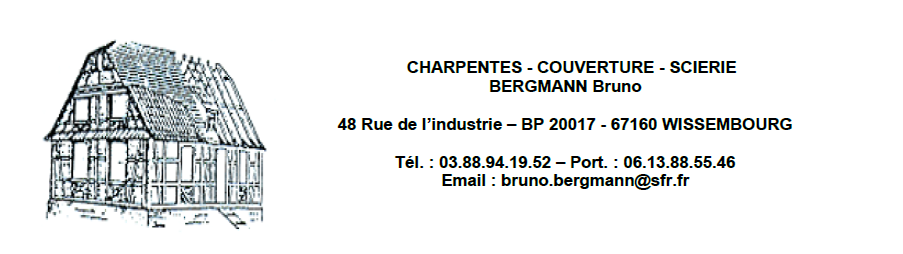 Bergmann Bruno